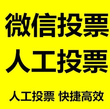河南省投票活动拉票能被查出来吗？如何操作能不被发现？